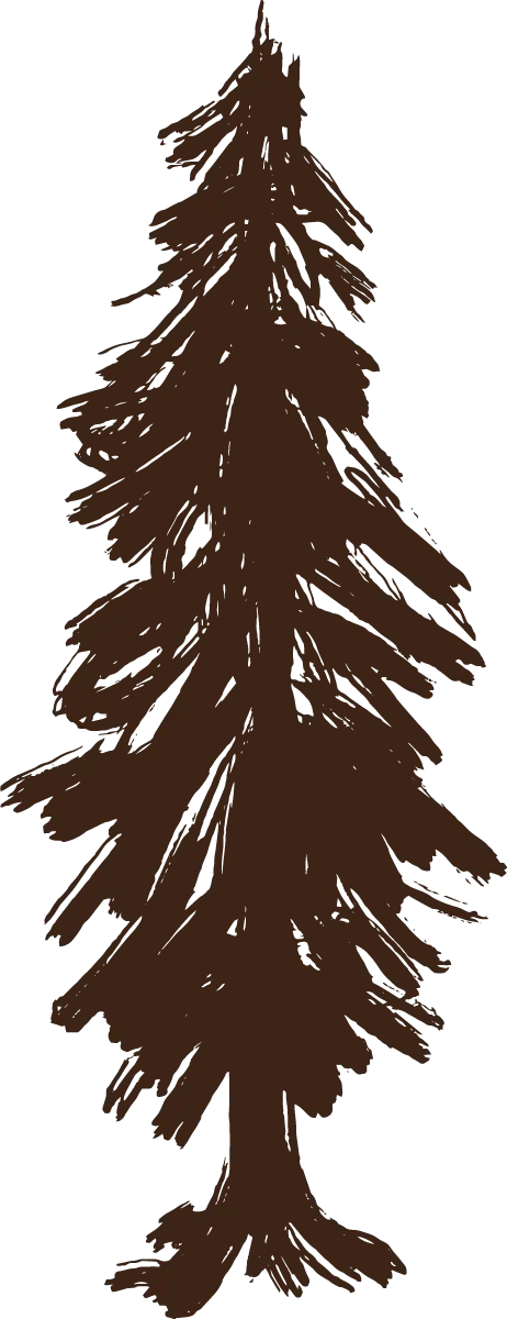 Bäume