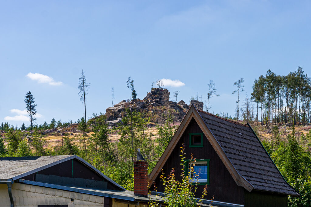 Klippe in Schierke
