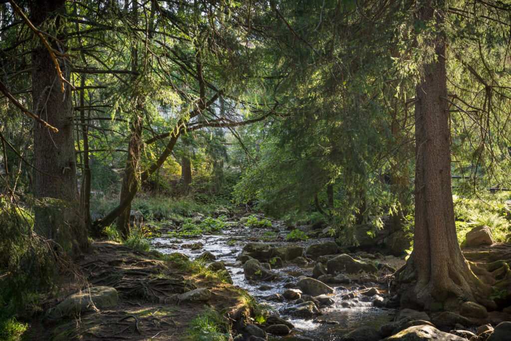 Kold Bode i Schierke