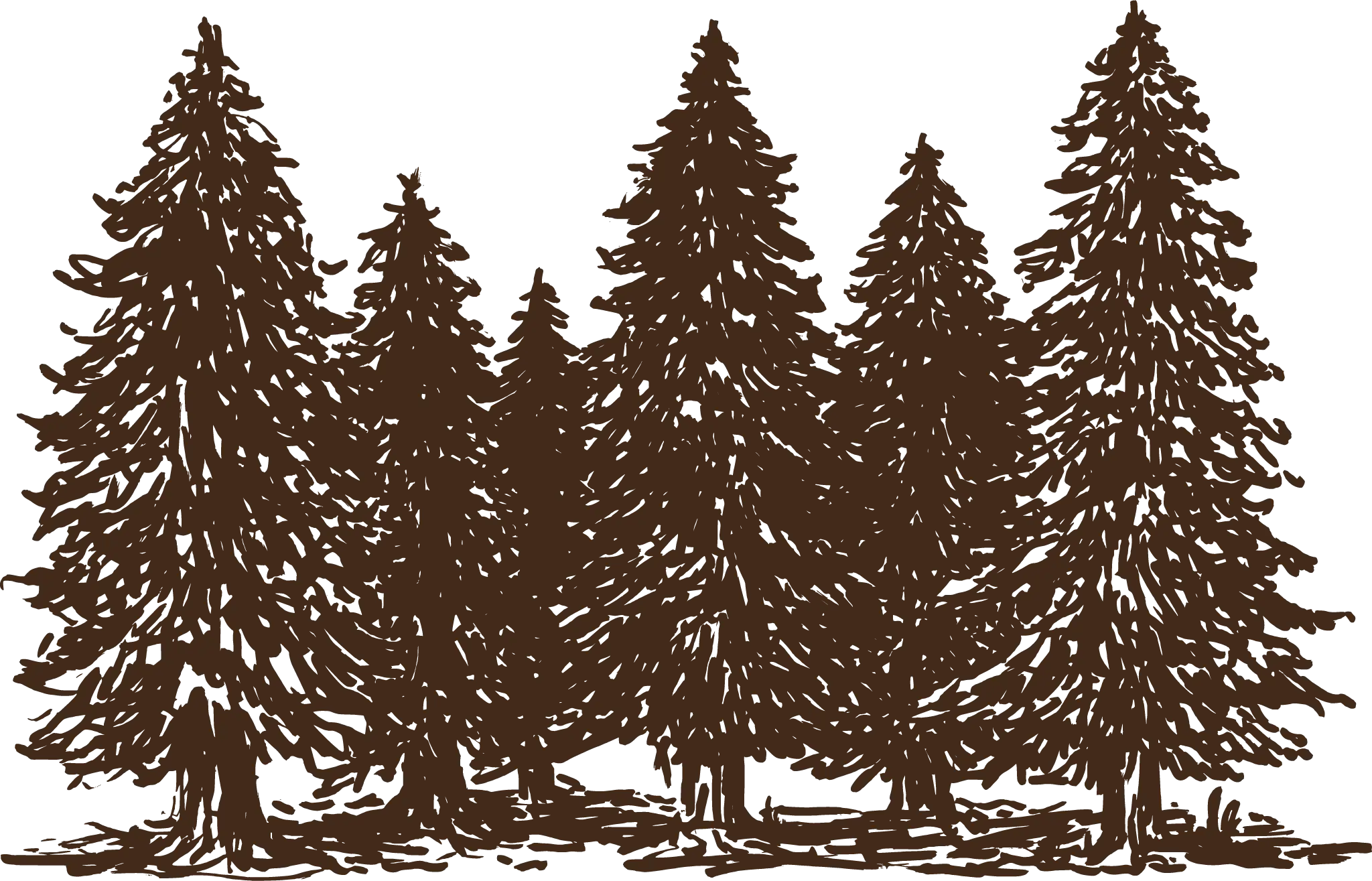 Bäume
